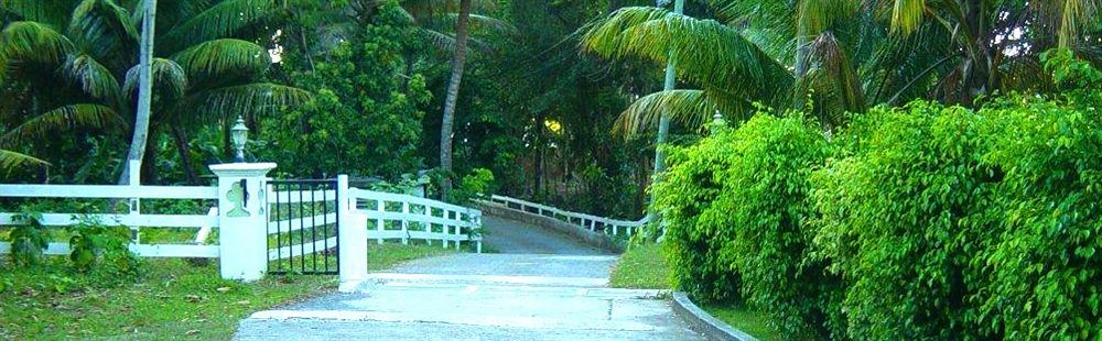 Icis Villas Brewers Bay Buitenkant foto